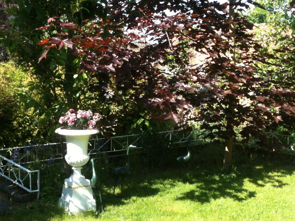 Bed and Breakfast Charlemont House Moy Exterior foto